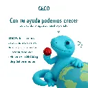2.webp